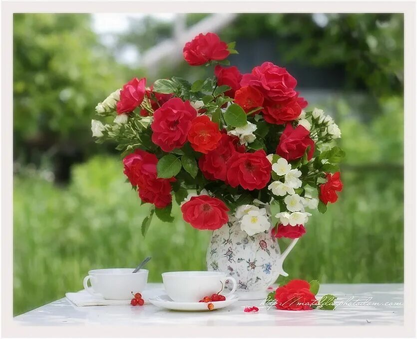 Красивые цветы женщине доброго утра красивые фото Pin on Flores Table decorations, Fresh cut flowers, Cut flowers