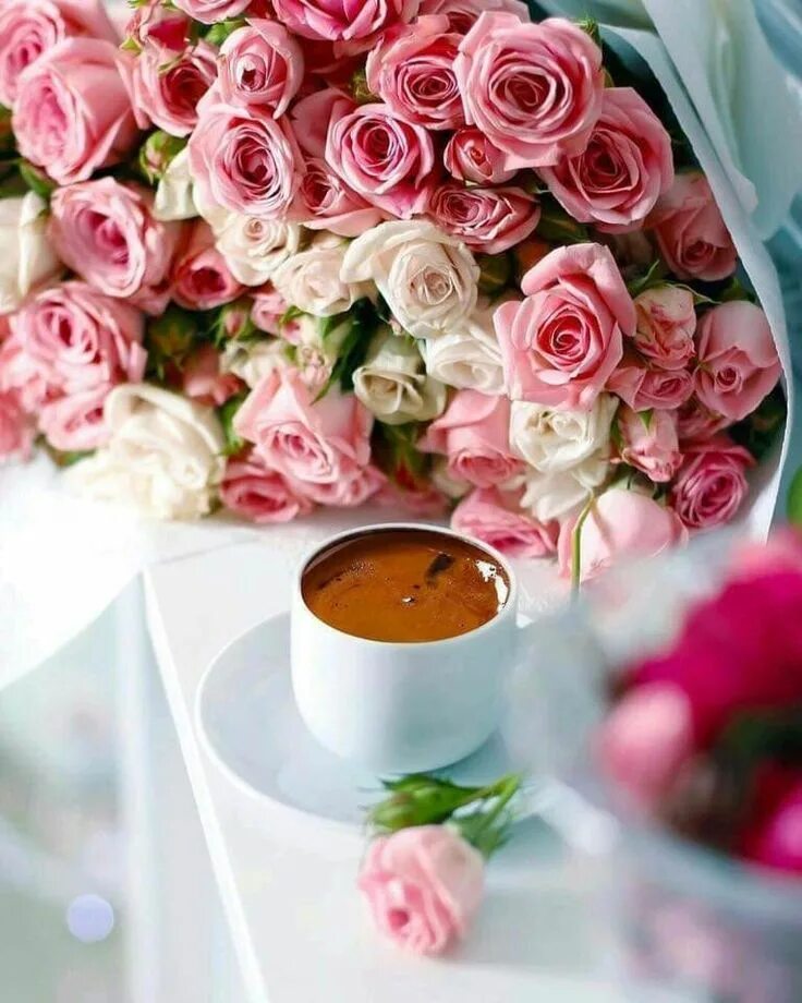 Красивые цветы женщине доброго утра красивые фото Pin on Доброе утро Coffee flower, I love coffee, Coffee love