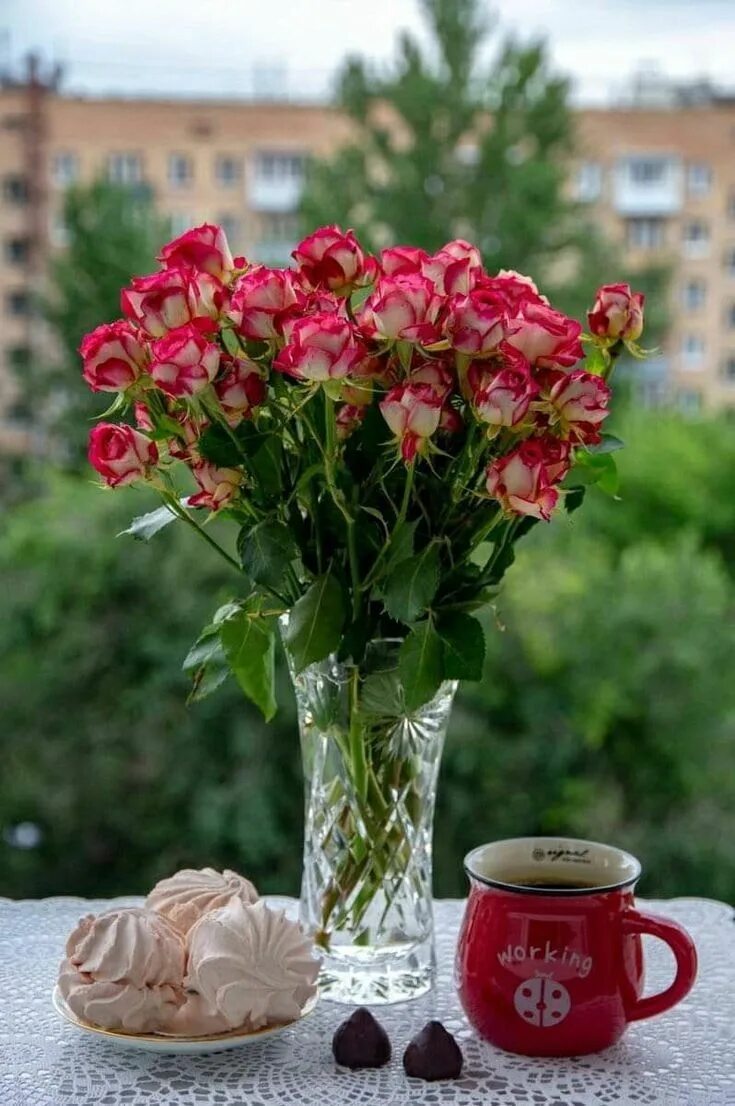 Красивые цветы женщине доброго утра красивые фото Pin by Chrow on Flowers Beautiful bouquet of flowers, Beautiful flowers, Beautif