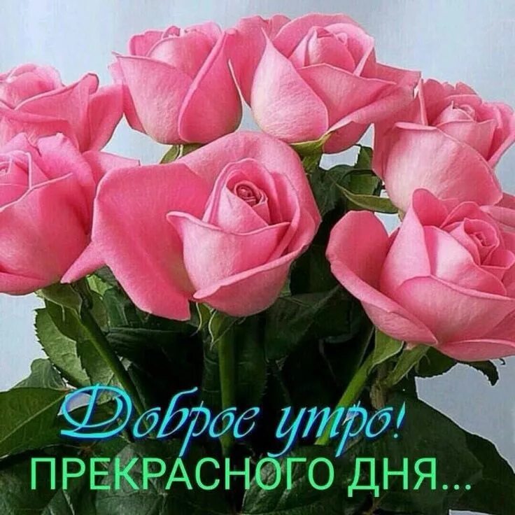 Красивые цветы женщине доброго утра красивые фото Pin by Оксана Кузнецова on Доброе утро Flowers, Good morning gif, Rose
