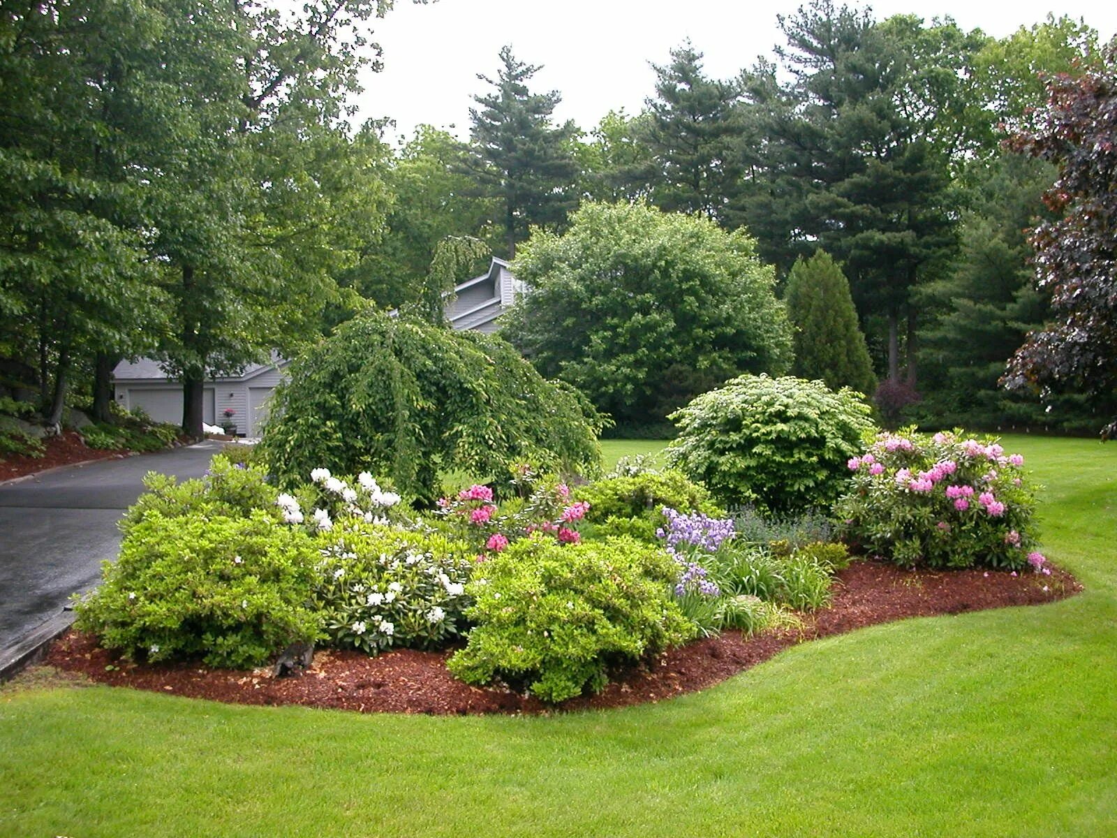 Красивые участки с цветами кустарниками фото Direction to uncovering the best Landscape Design Services in Canada Garden land