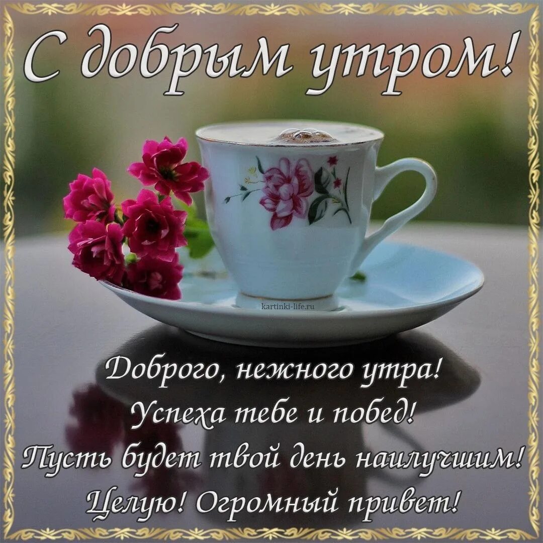 Красивые утренние картинки с добрыми пожеланиями С добрым утром, мои Сладули! #утро@gross_writer 2023 Кария Гросс. Все книги авто