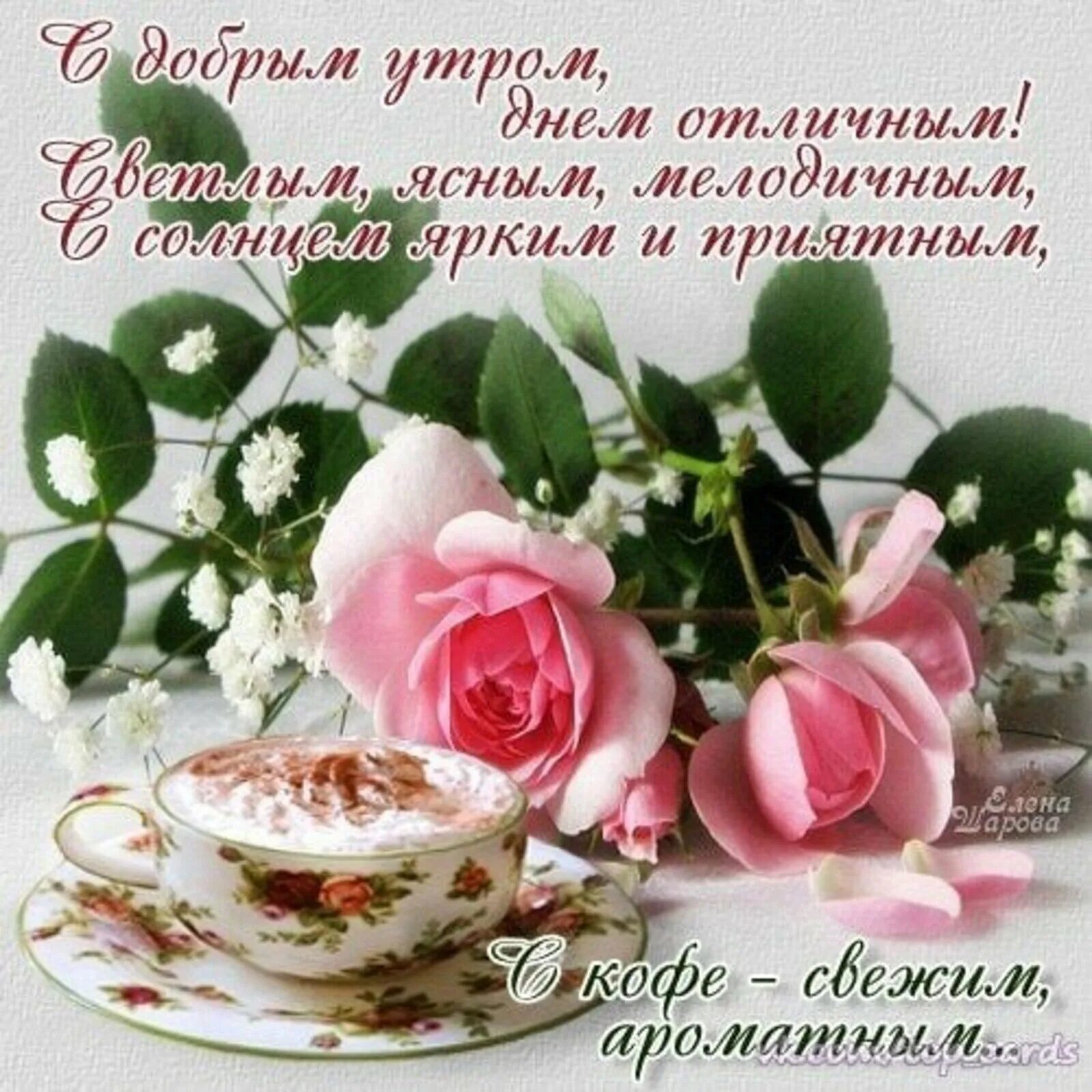 Красивые утренние картинки с пожеланиями Пожелания с добрым утром очень красивые - 89 фото - смотреть онлайн
