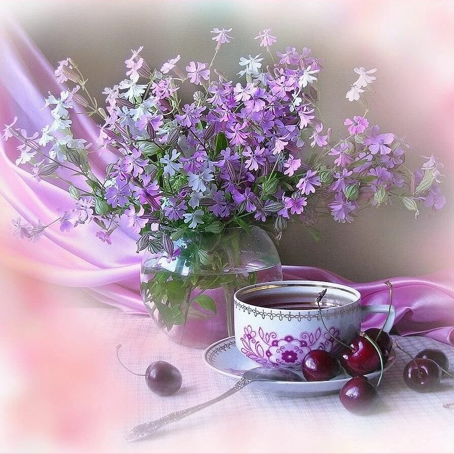Красивые утренние картинки с пожеланиями Pin on Dag plaatjes Beautiful flowers, Flowers, Purple flowers