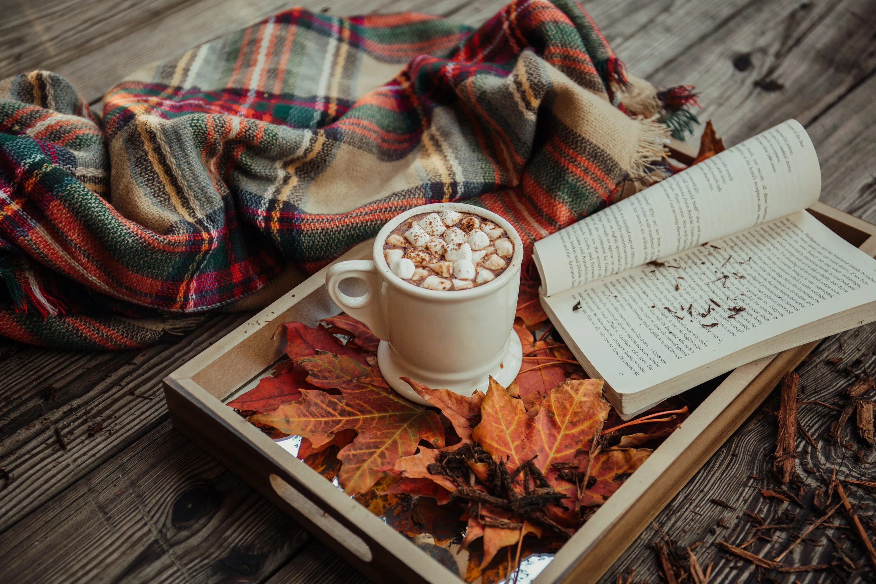 Красивые уютные фото осени Встреча книжного клуба "BOOKMADNESSS"