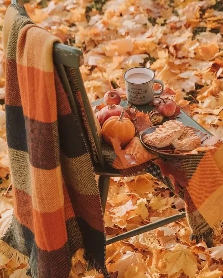 Красивые уютные фото осени Pin on Осінь Autumn cozy, Autumn magic, Autumn aesthetic