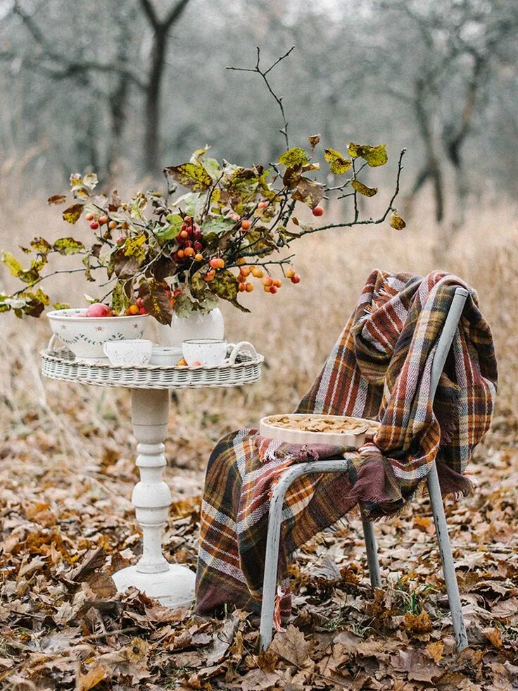 Красивые уютные фото осени COZY AUTUMN Осенние семейные портреты, Осенние семейные фотографии, Осень