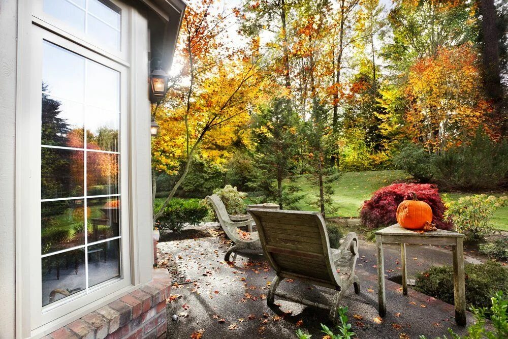 Красивые уютные фото осени Осенний посадочный сезон - готовимся Landscaping tips, Backyard landscaping, Pat