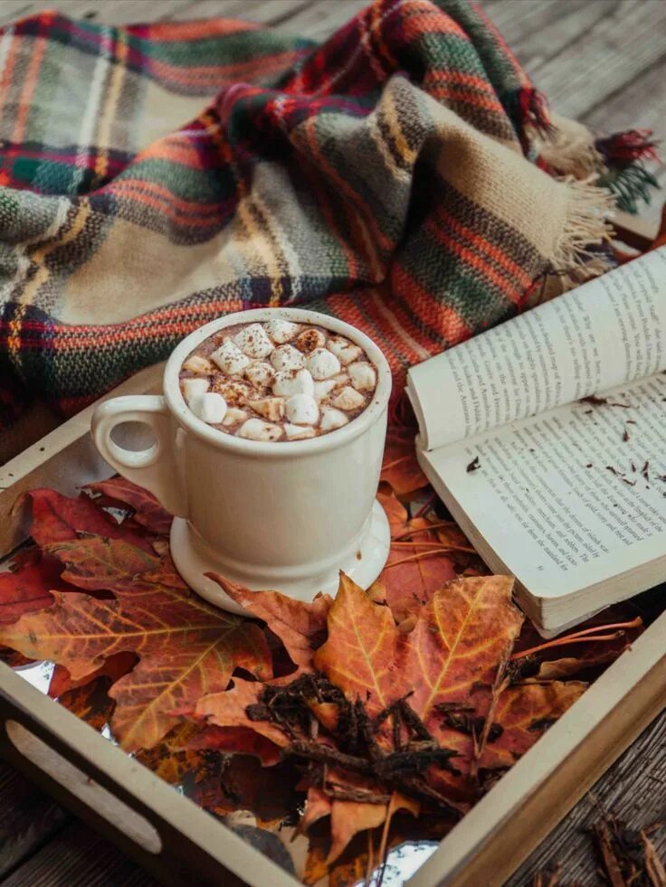 Красивые уютные фото осени Reasons to go glamping in Autumn Slowing down with nature Free fall wallpaper, F