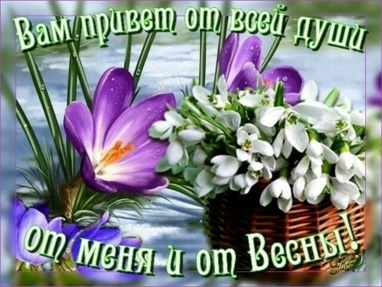Красивые весенние картинки с добрыми пожеланиями Открытки с добрым утром весенние (75 фото)