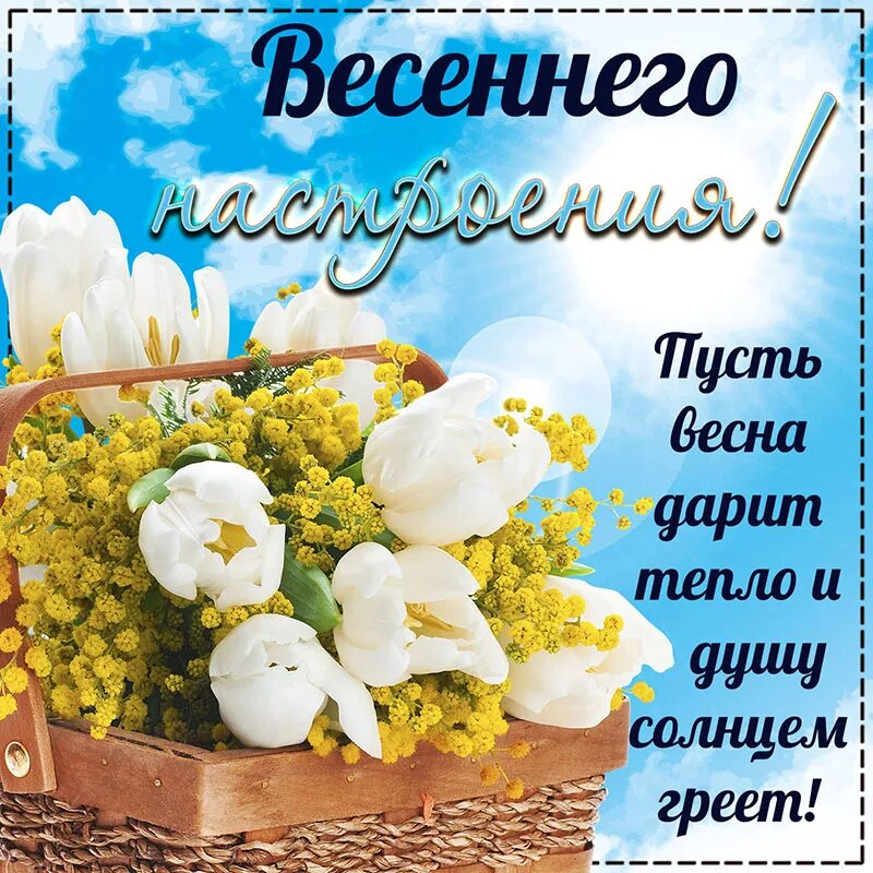 Красивые весенние картинки с добрыми пожеланиями Картинка с цветами для весеннего настроения