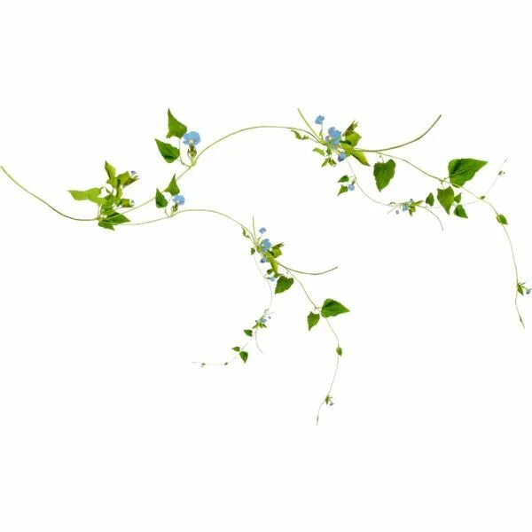 Красивые веточки для оформления Magic Land Magic land, Pinterest garden, Garden elements