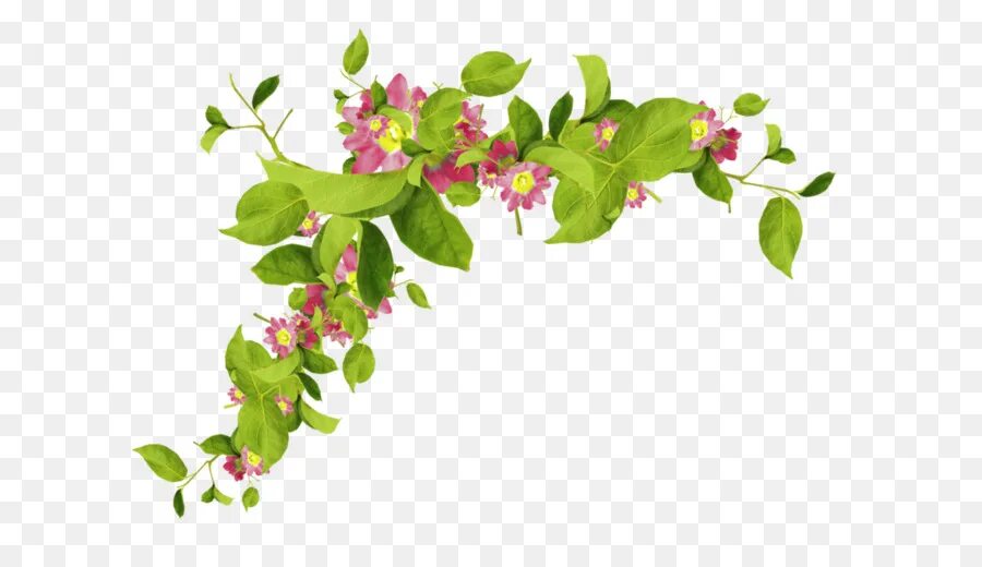 Красивые веточки для оформления Flowers - Delicate Pink Flowers with Vines - CleanPNG / KissPNG