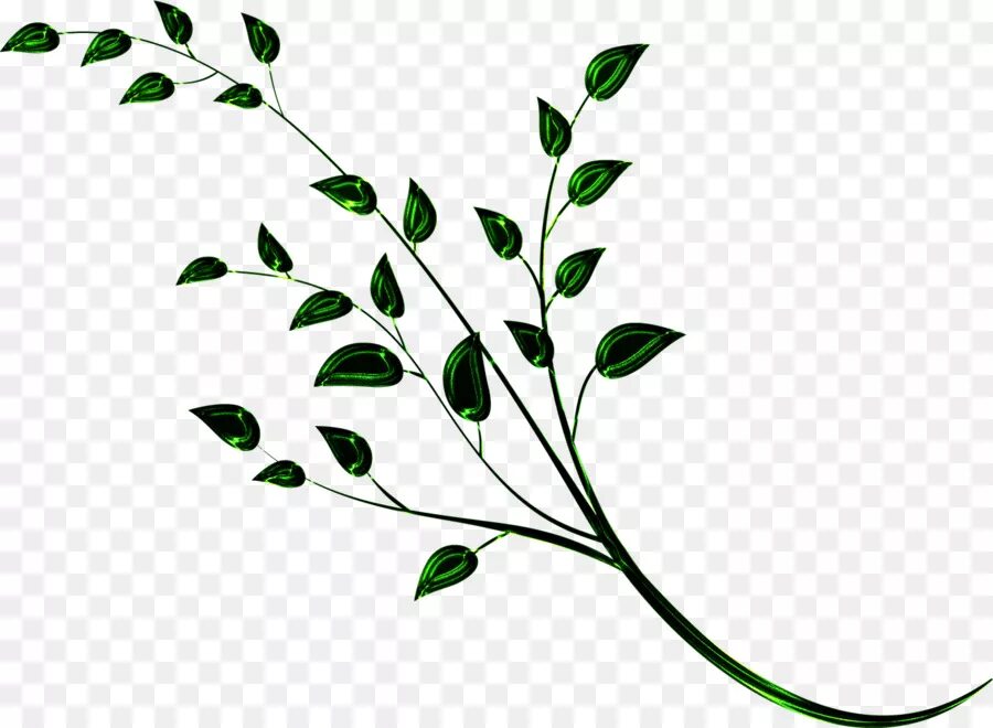 Красивые веточки для оформления Branch - Twig Background - CleanPNG / KissPNG
