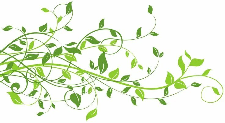 Красивые веточки для оформления Spring Decor with Leaves PNG Clip Art Image Gallery Yopriceville - High-Quality 