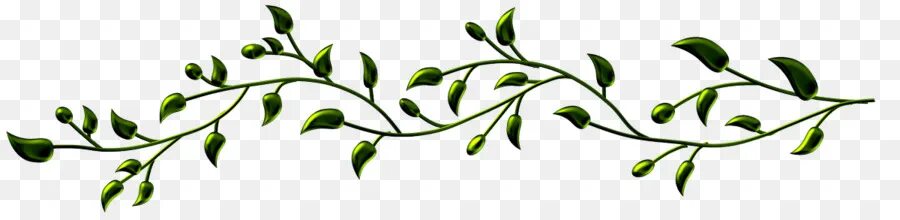Красивые веточки для оформления Green Vine - Green Vine with Leaves - CleanPNG / KissPNG
