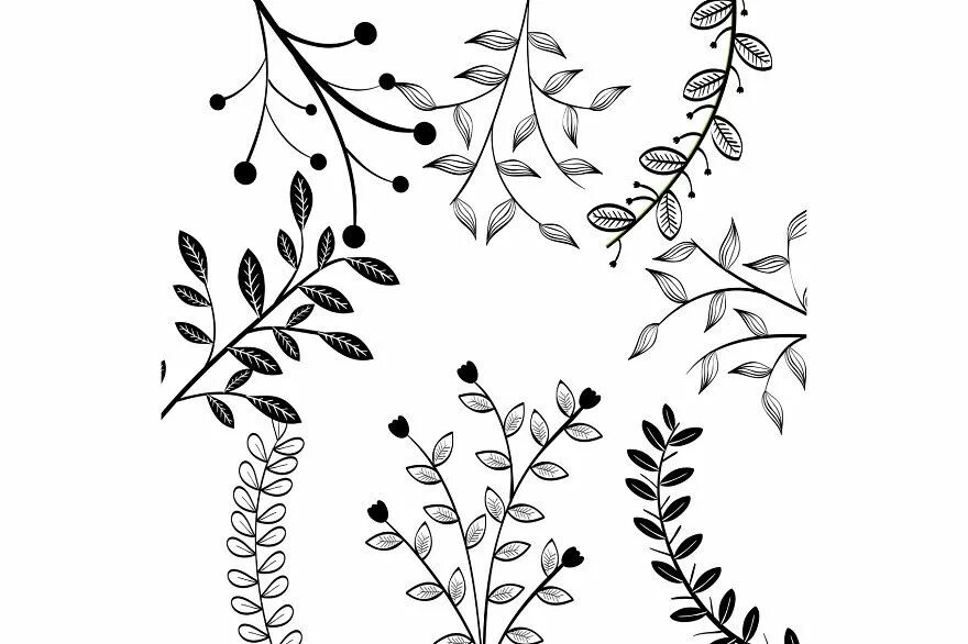 Красивые веточки для оформления Hand-drawn leaves design. How to draw hands, Leaf drawing, Hand drawn leaves