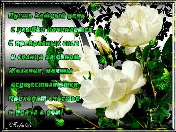 Красивые видео картинки с пожеланиями Ghim trên 1 ❌)КРАСИВЫЕ анимации картинки ✔ ❤ ❤ ✔