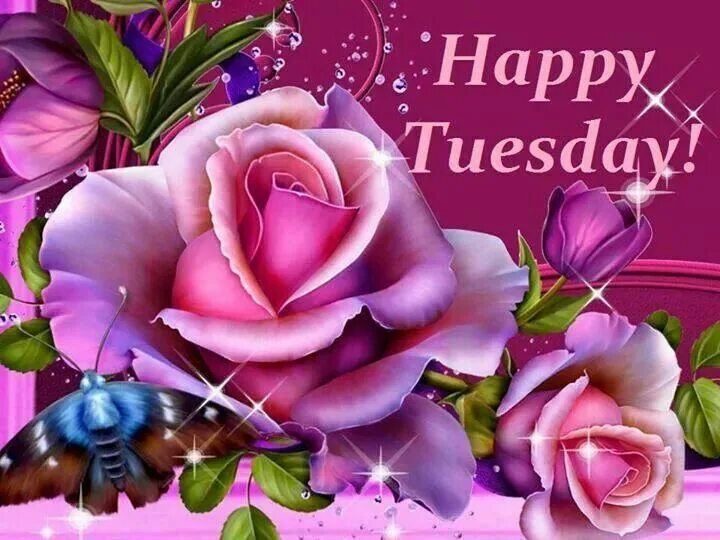 Красивые видео картинки с пожеланиями Happy Tuesday Blooming rose, Rose, Beautiful flowers