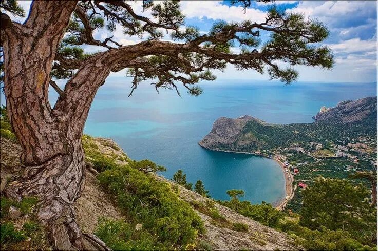 Красивые виды крыма фото Картинки по запросу крым Ukraine, World, Culture travel