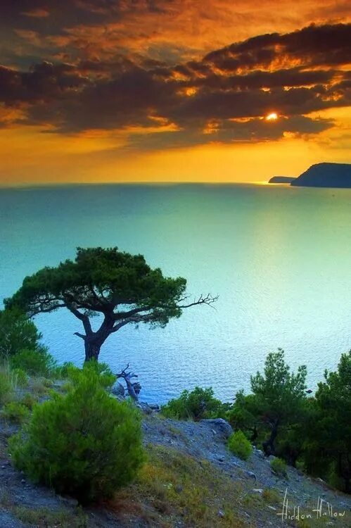 Красивые виды крыма фото a40cd1d83ee250a529ee2511ba8b5aa5 Beautiful nature, Nature, Beautiful landscapes