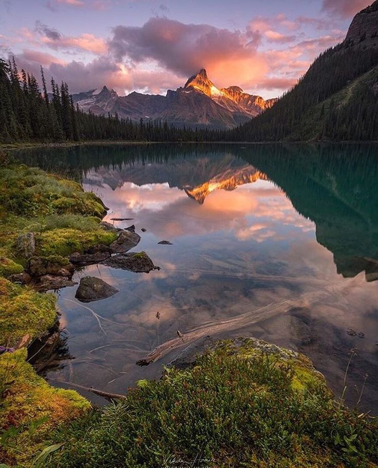 Красивые виды природы фото бесплатно Instagram post by Parks Canada Shop * Aug 17, 2016 at 8:20pm UTC Landscape photo