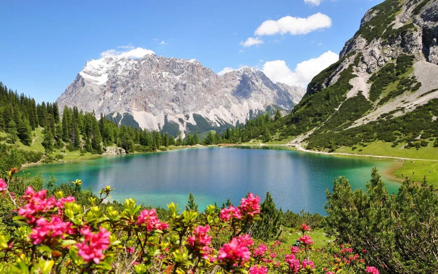 Красивые виды природы фото бесплатно Pin on Nuevo hogar in 2024 Pretty landscapes, Desktop wallpaper summer, Nature p