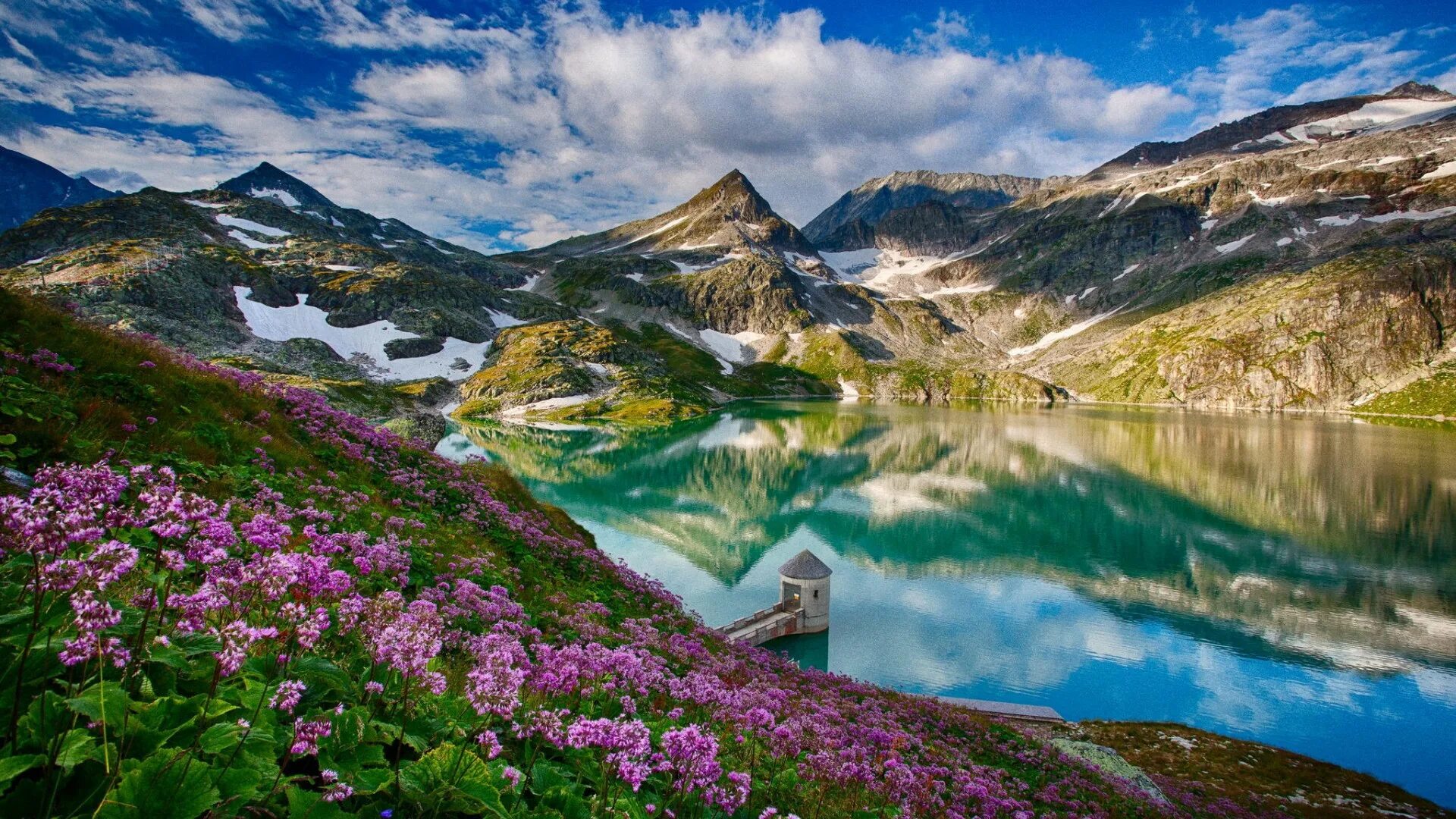 Красивые виды природы фото высокого Lilac flowers Desktop wallpapers 1366x768