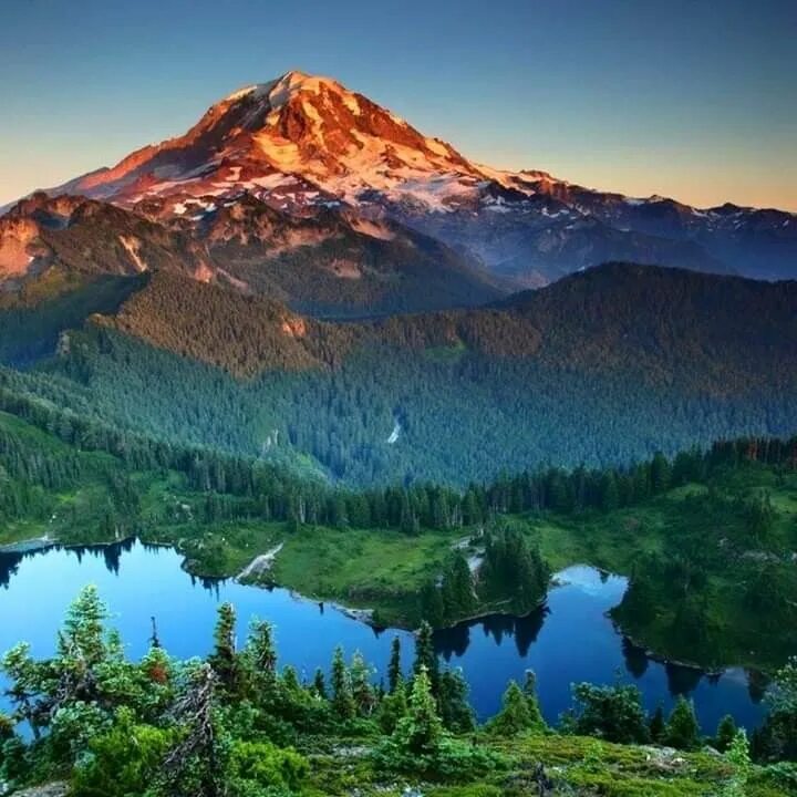 Красивые виды природы фото высокого разрешения Pin on Nature photography Scenery, Mount rainier national park, Mt rainier natio