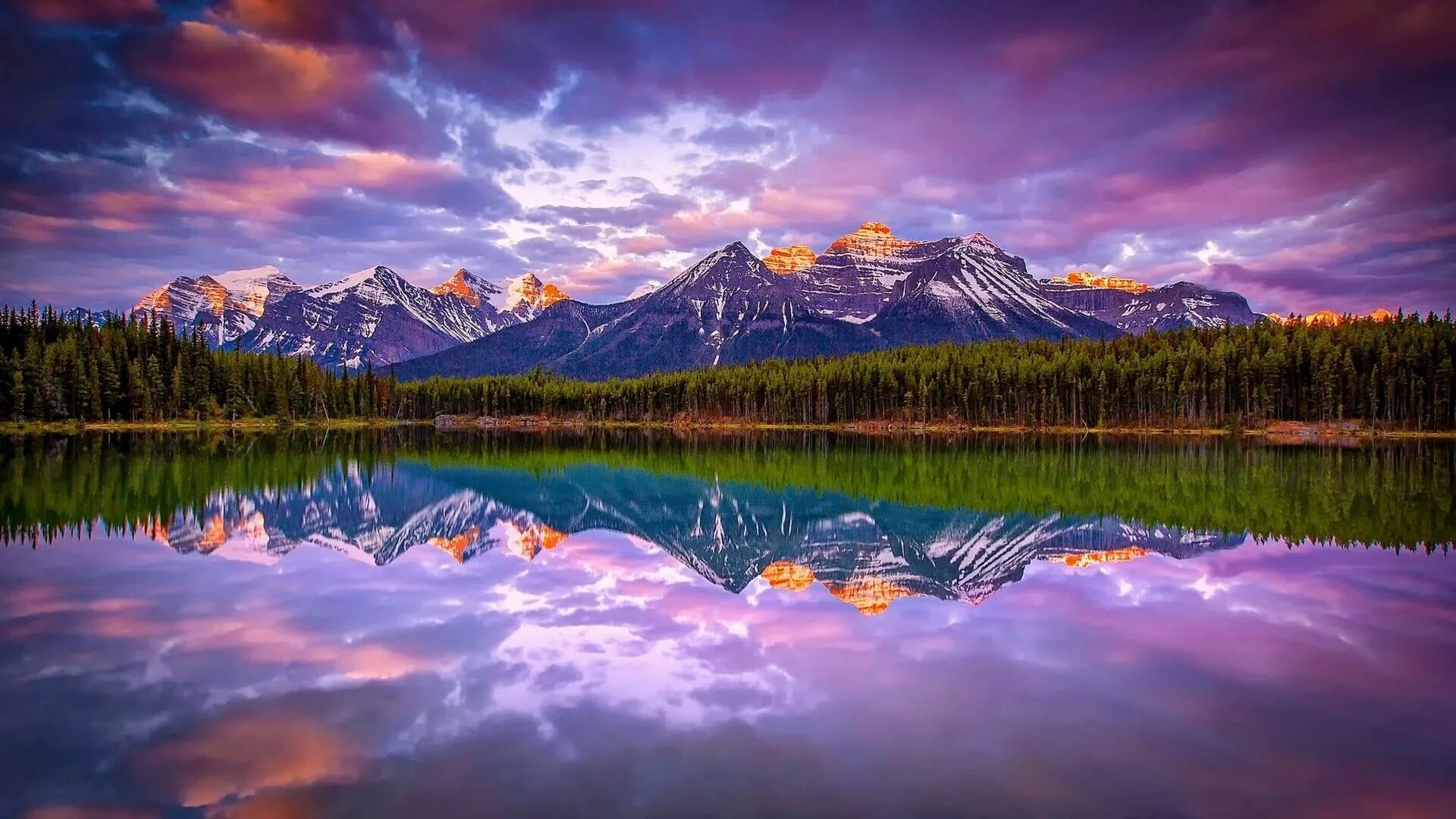 Красивые виды природы фото высокого разрешения landscape photography of green plants and mountain #lake #mountains #forest #nat