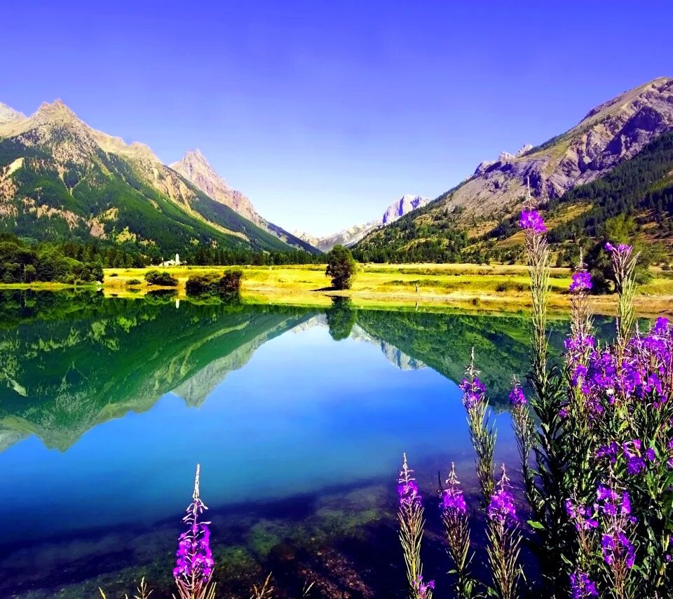 Красивые виды природы фото высокого разрешения бесплатно Download wallpaper the sky, flowers, mountains, lake, section landscapes in reso
