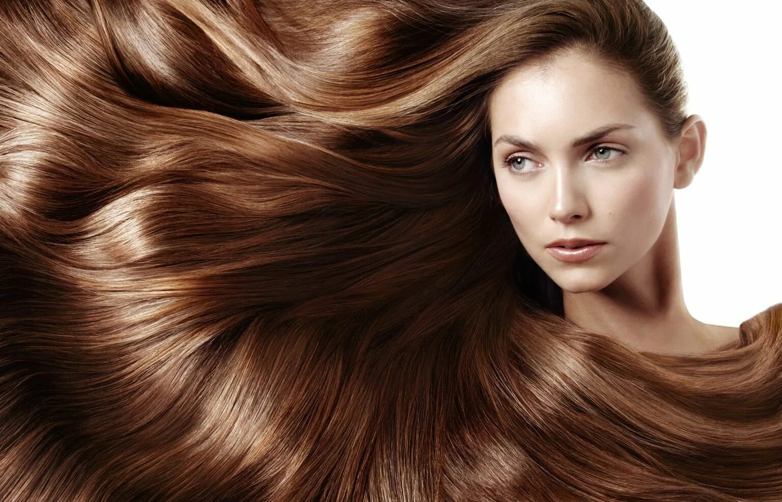 Красивые волосы фото Light Brown hair Thick hair styles, Long thick hair, Silky hair