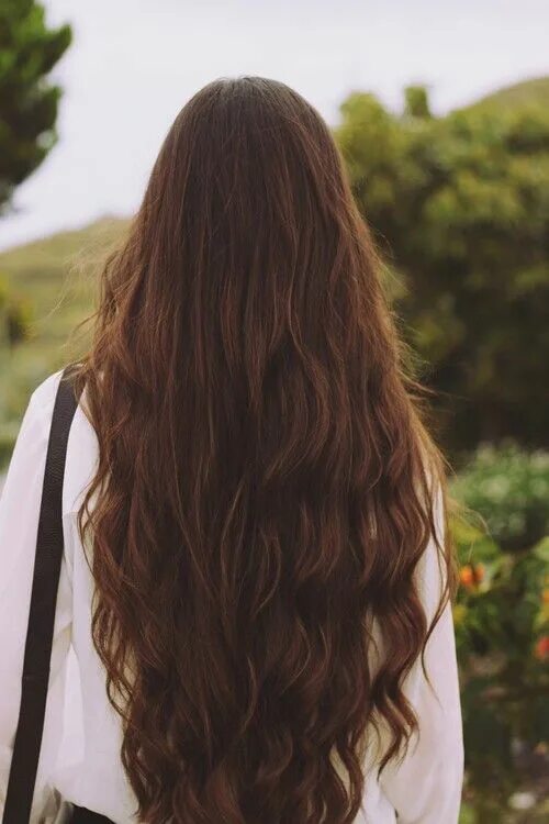 Красивые волосы фото без лица Rapunzel's Daughter Long hair styles, Grow long hair, Long brunette hair