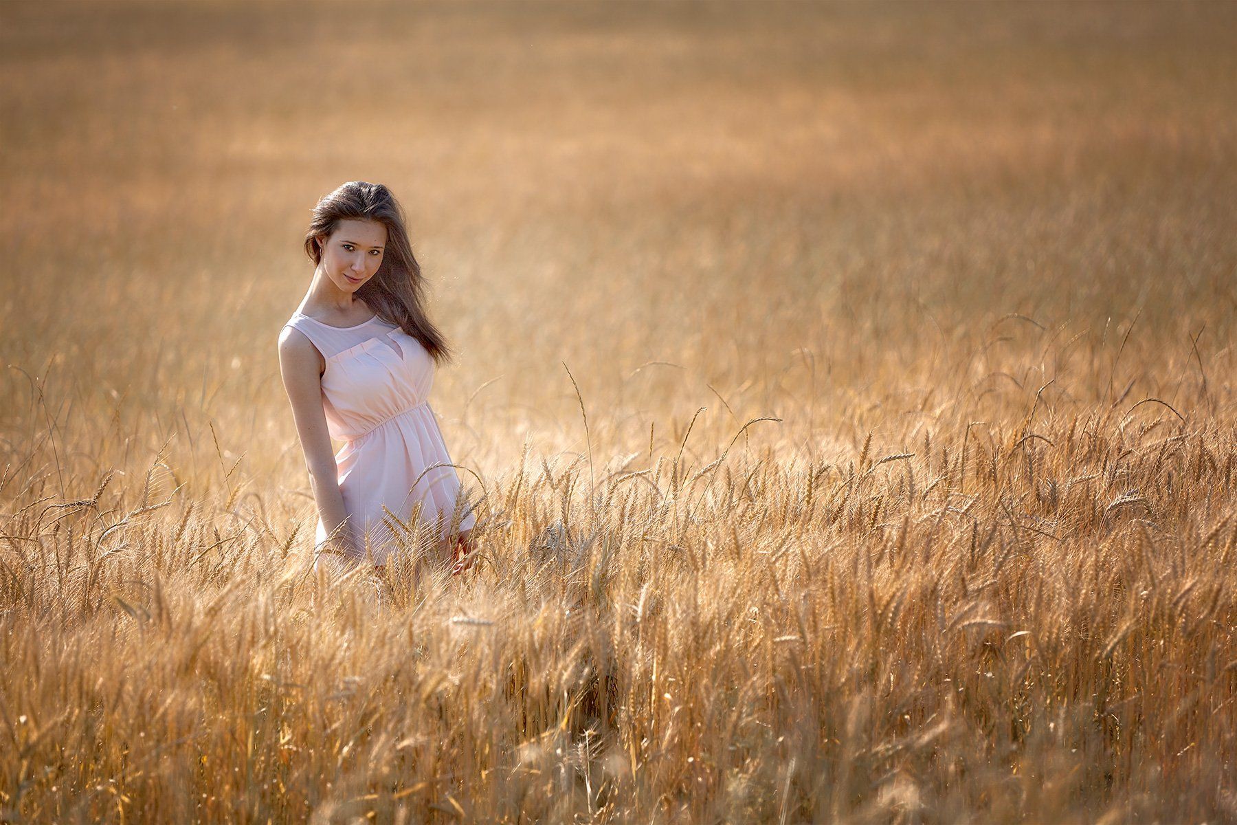 Красивые женщины в поле фото в поле... Photographer Bulatov Dmitriy