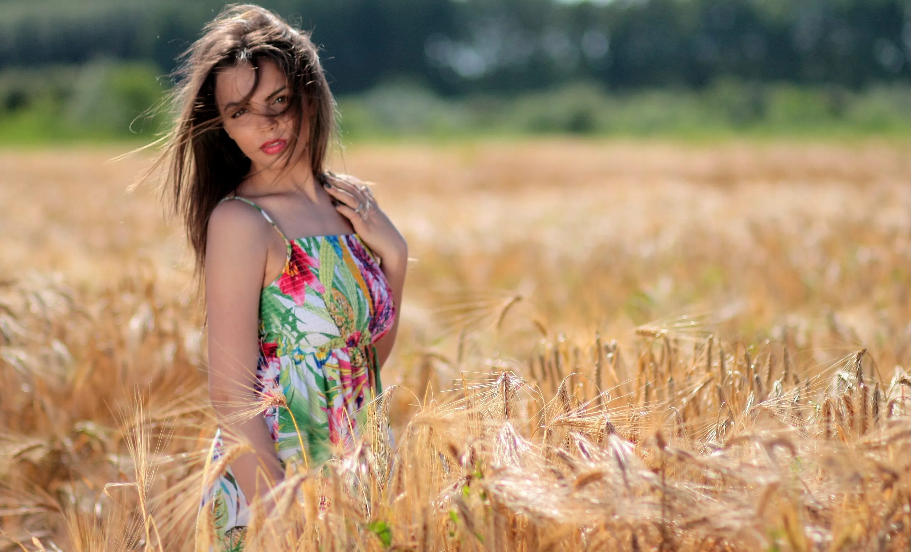 Красивые женщины в поле фото Girl dry grass free image download