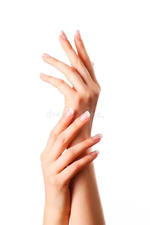 Красивые женские руки фото 33,961 French Manicure Stock Photos - Free & Royalty-Free Stock Photos from Drea