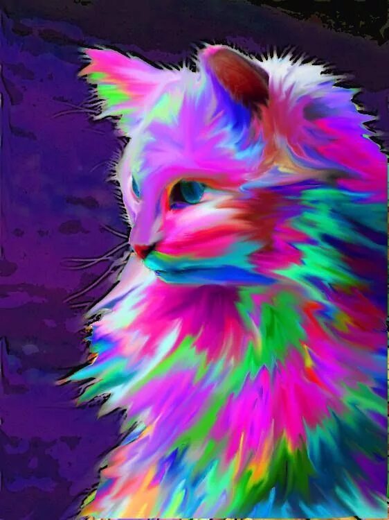 Красивые животные цветные красивые картинки Neon Colorful Cat Ar moment love Cat art, Cat colors, Watercolor cat
