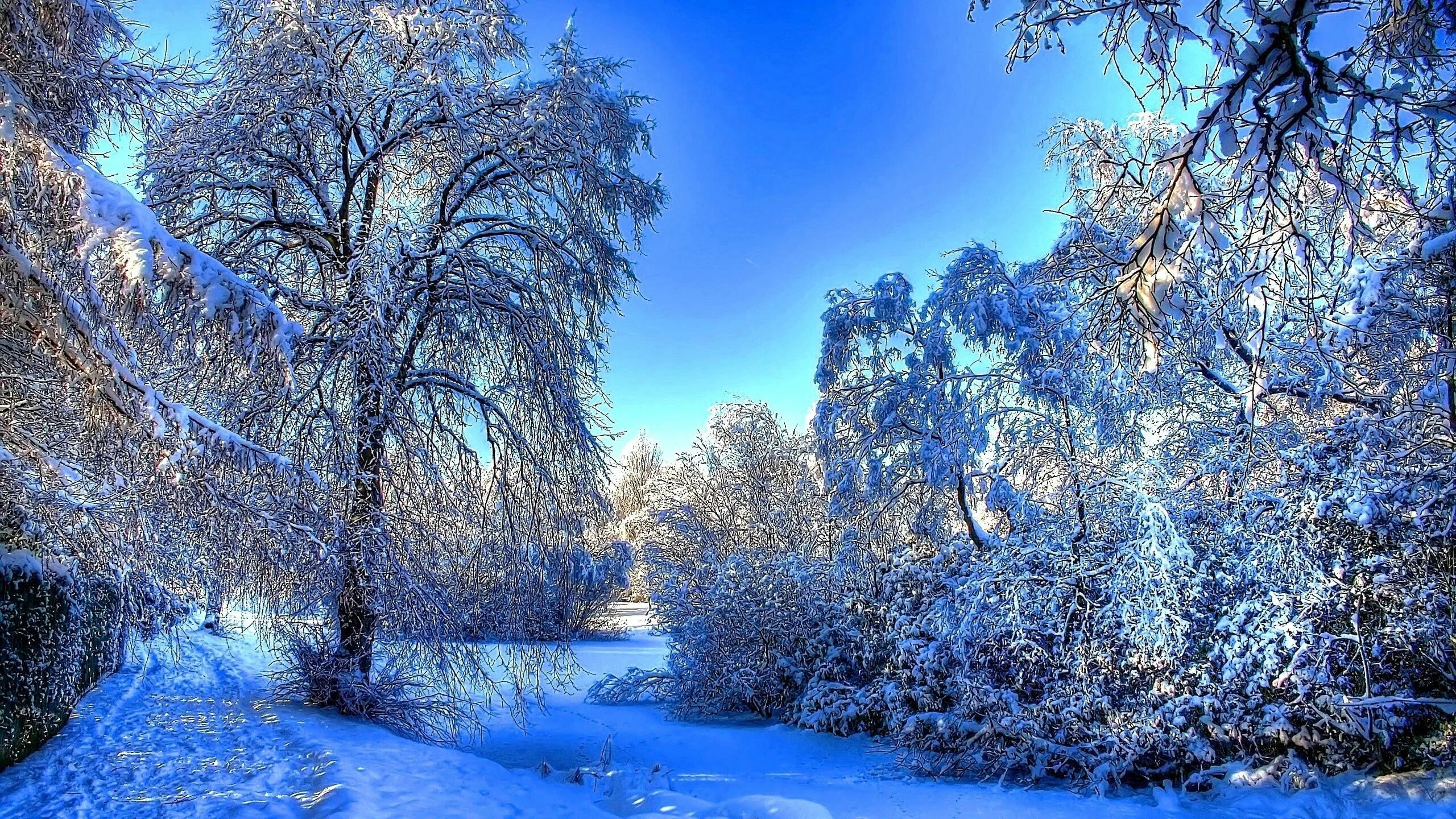 Красивые зимние фото Winter landscape, Winter snow wallpaper, Winter wallpaper