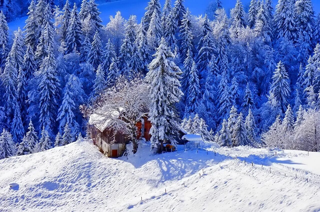 Красивые зимние фото Picture Nature Winter Snow Trees Houses Building Winter wallpaper, View wallpape