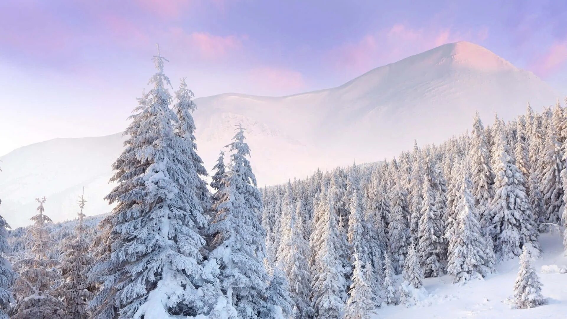 Красивые зимние фото Download Majestic View of the Snow Covered Mountains Wallpaper Wallpapers.com