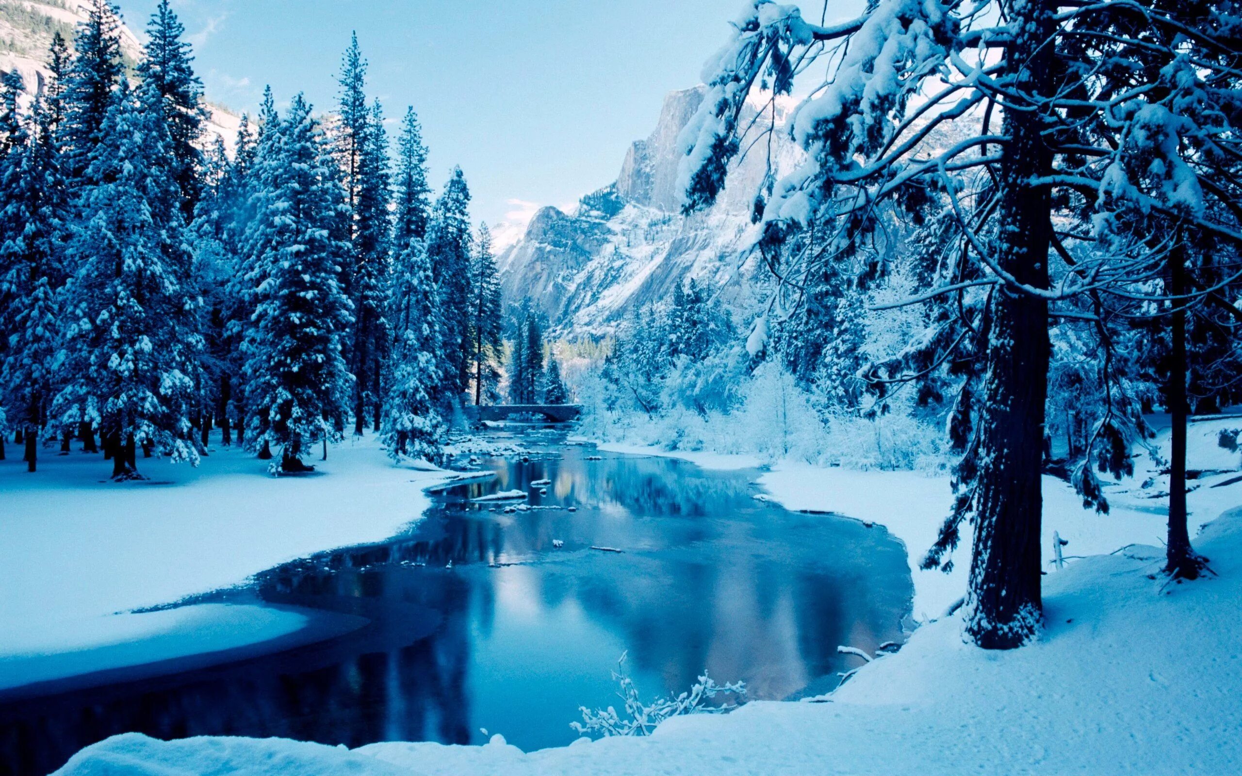 Красивые зимние фото Wallpapers Snow Aposfrozen Natureapos 2560x1600 Winter scenery, Winter landscape