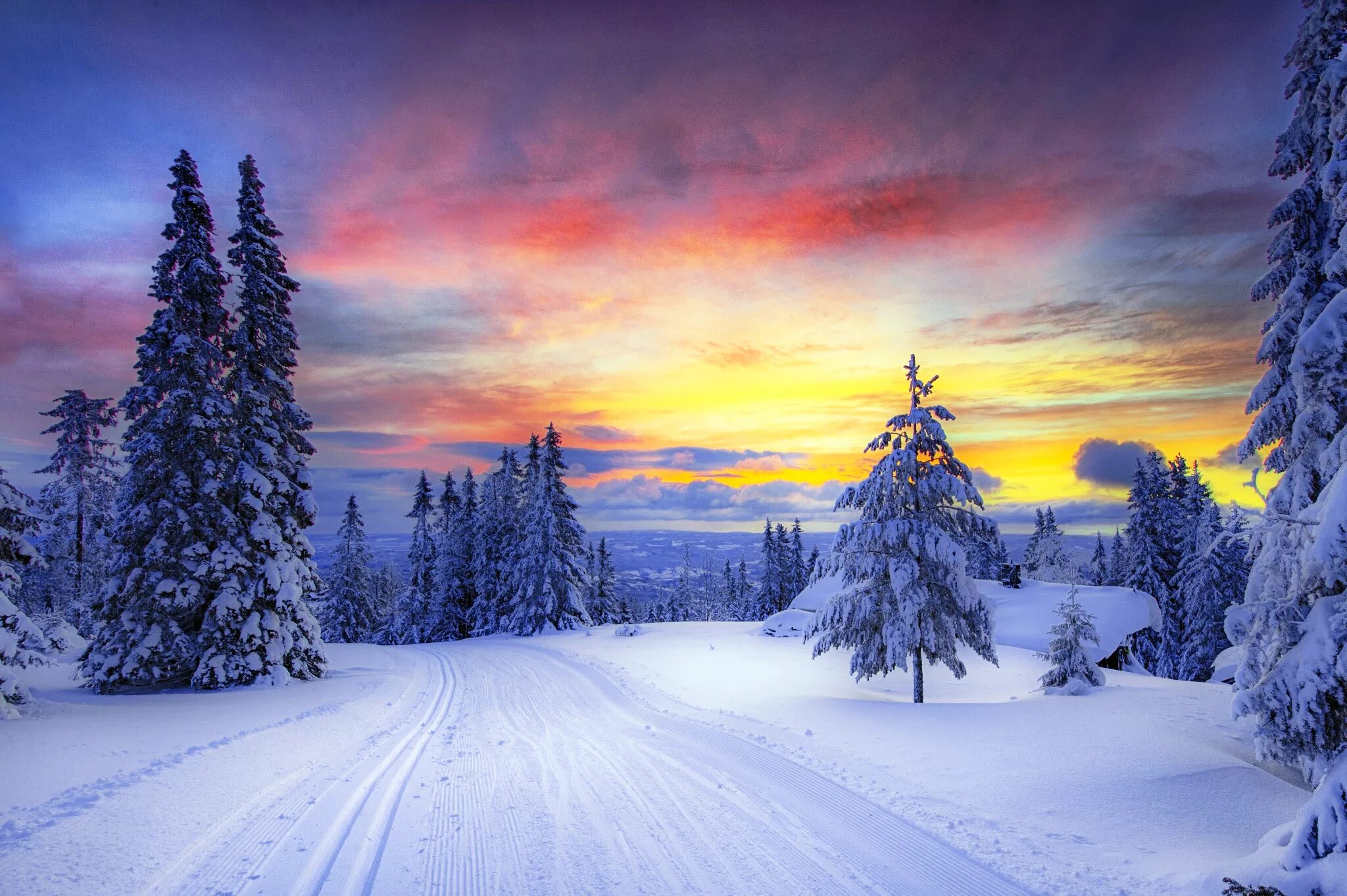 Красивые зимние фото Wallpaper : sunlight, trees, forest, snow, winter, Norway, evening, morning, fro