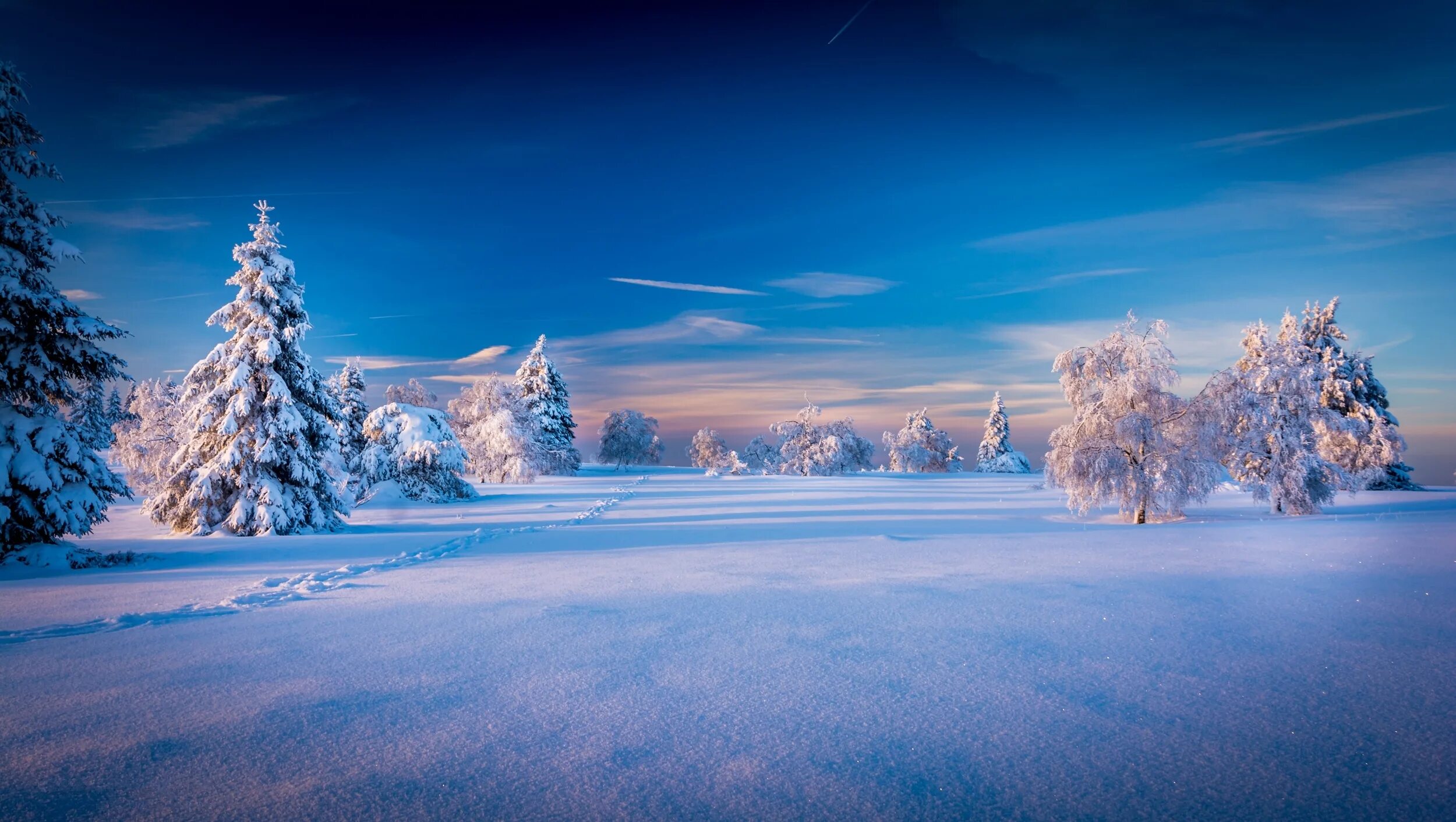 Красивые зимние фото Download wallpaper The sky, Nature, Winter, Trees, Snow, Spruce, Landscape, sect