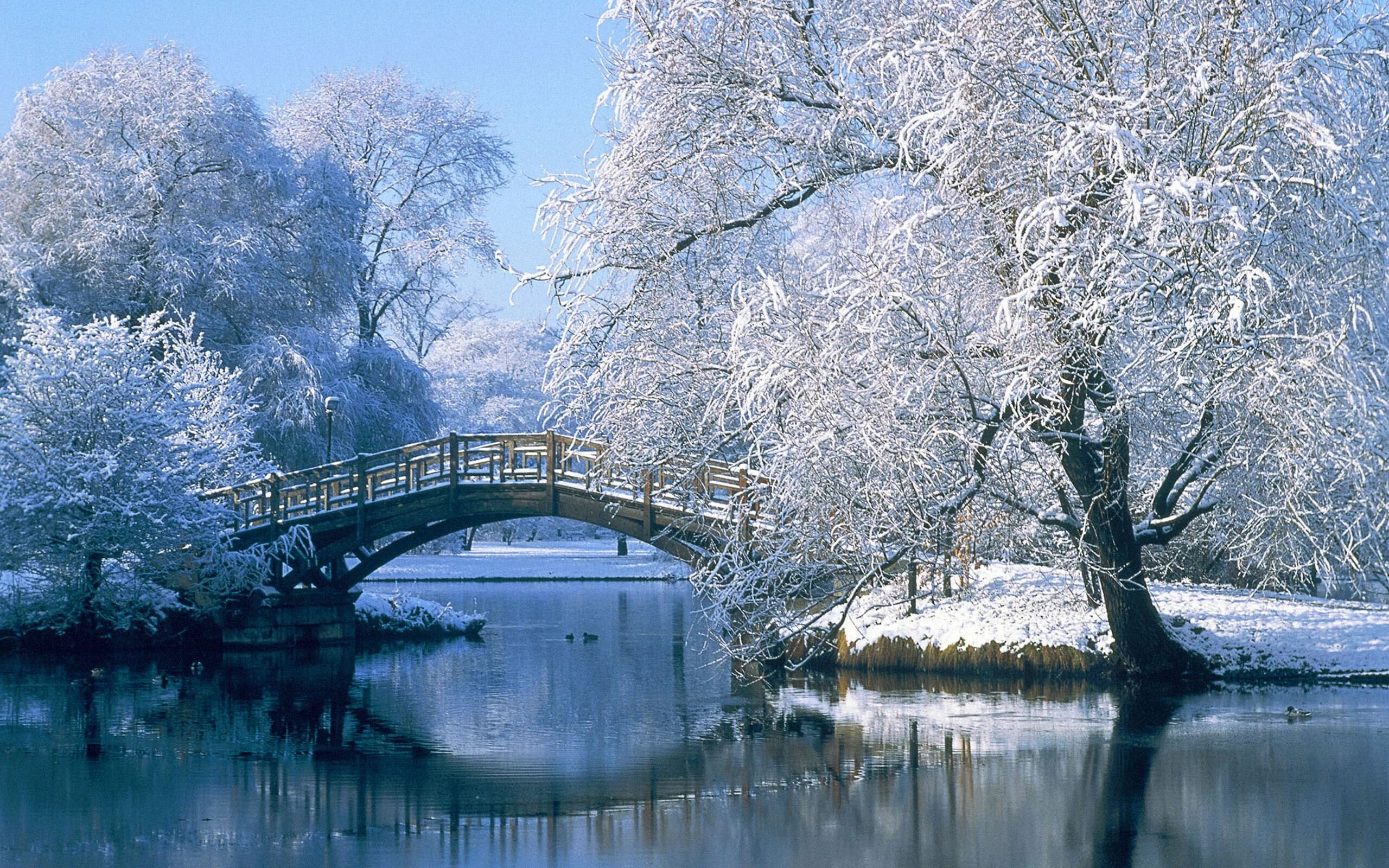 Красивые зимние фото Winter Wallpapers Winter scenery, Winter landscape, Winter desktop background