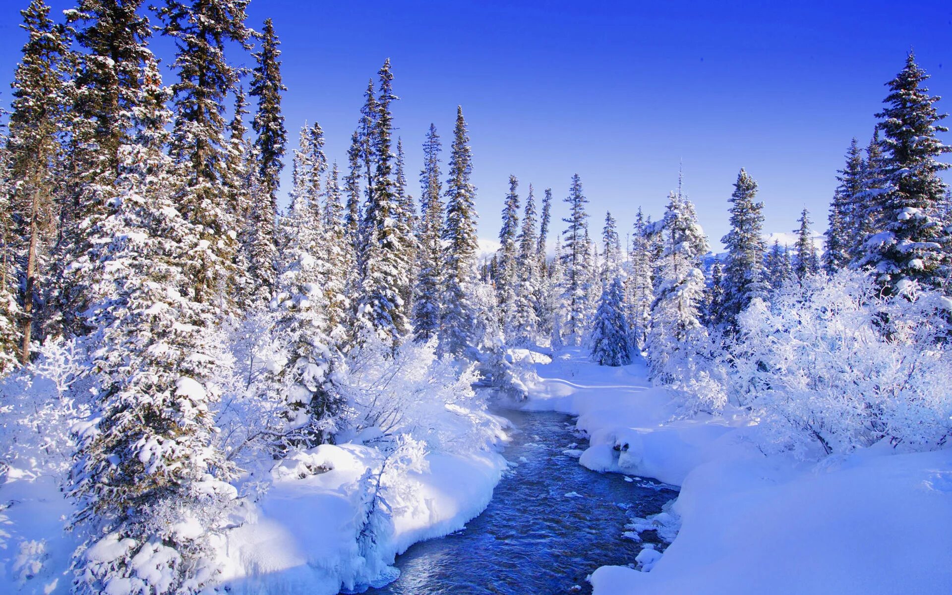 Красивые зимние фото природы Winter Forest River Desktop wallpapers 1024x1024