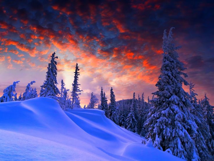 Красивые зимние фото природы Российский Сервис Онлайн-Дневников Winter wallpaper, Winter desktop background, 