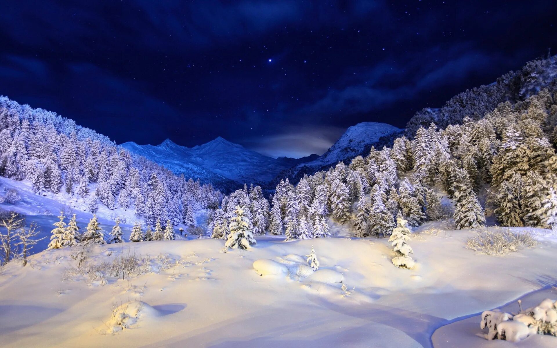 Красивые зимние фото природы Wallpaper : winter, snow, cover, night, light, trees, coniferous, stars, dark bl