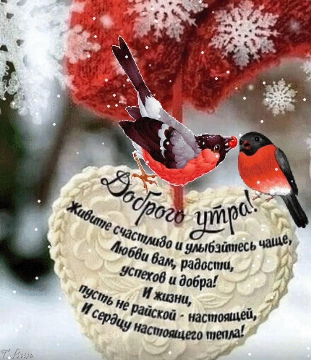 Красивые зимние картинки с пожеланиями утра Good morning friends!!! 2023 ЧП Старая Русса © VK