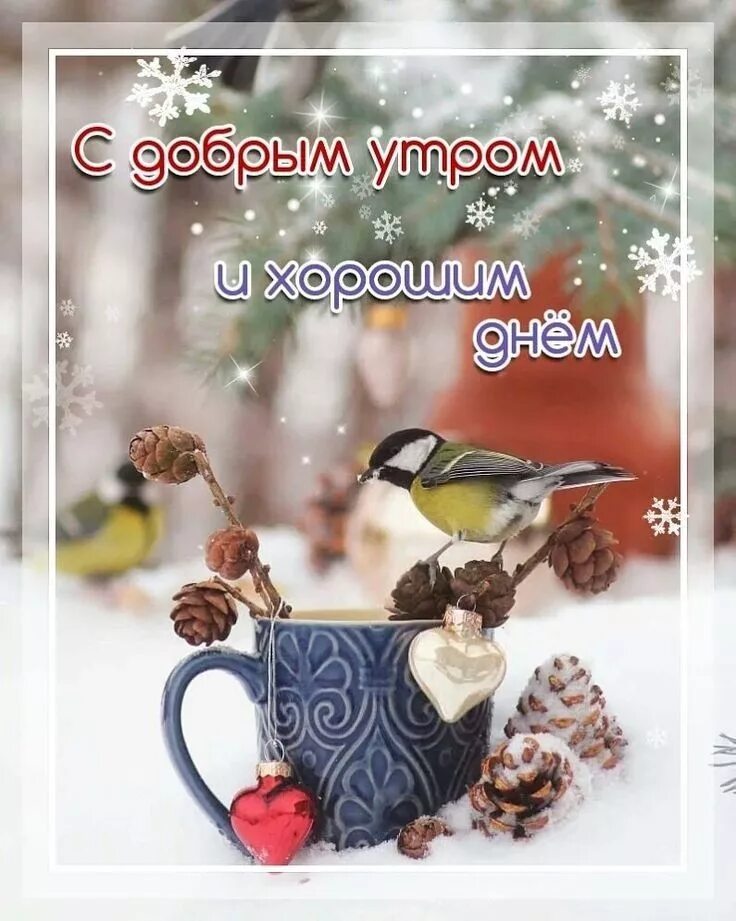 Красивые зимние картинки с пожеланиями утра Пин от пользователя Болдырева Марина на доске Доброе утро Доброе утро, Открытки,