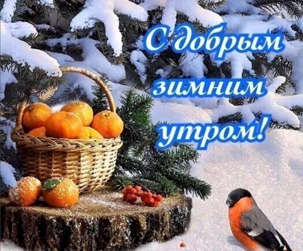 Красивые зимние картинки с пожеланиями утра Картинка доброго зимнего утра чудесного дня (124 фото) https://topotkritki.ru/ka